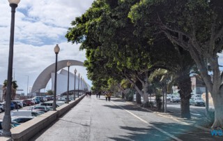 Santa Cruz De Tenerife 25.02.05 Nach 10 Jahren wieder Kanaren um dem Winter zu entfliehen AIDAcosma 015