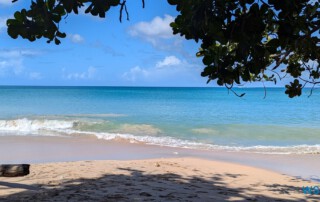 Vigie Beach Castries 24.11.30 Zu Fuß mit Taxi Fähre Boot Bus zu karibischen Stränden AIDAperla 004