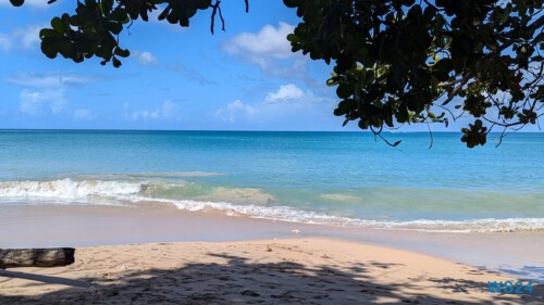 Vigie Beach Castries 24.11.30 Zu Fuß mit Taxi Fähre Boot Bus zu karibischen Stränden AIDAperla 004