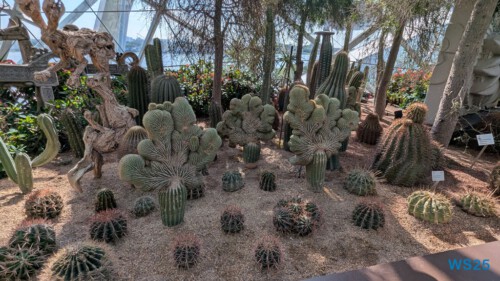 Gardens by the Bay Singapur 25.05.06 Begeistert zum ersten Mal in Südostasien AIDAstella 022 Gardens by the Bay Singapur 25.05.06 Begeistert zum ersten Mal in Südostasien AIDAstella 022
