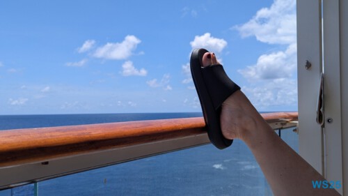 Indischer Ozean 25.05.09 Begeistert zum ersten Mal in Südostasien AIDAstella 010 Indischer Ozean 25.05.09 Begeistert zum ersten Mal in Südostasien AIDAstella 010