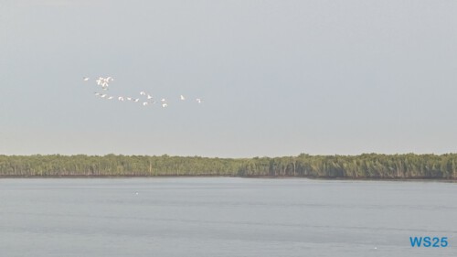Port Klang 25.05.07 Begeistert zum ersten Mal in Südostasien AIDAstella 002