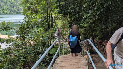 Pulau Dayang Bunting Langkawi 25.05.08 Begeistert zum ersten Mal in Südostasien AIDAstella 011