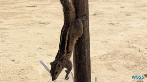 Ventura Beach Colombo 25.05.12 Begeistert zum ersten Mal in Südostasien AIDAstella 033 Ventura Beach Colombo 25.05.12 Begeistert zum ersten Mal in Südostasien AIDAstella 033