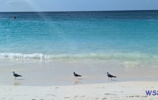 PXL 20251206 185232236