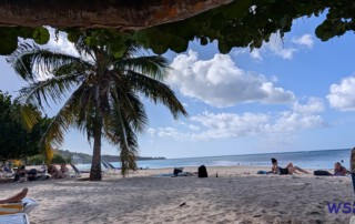 PXL 20251210 182617942