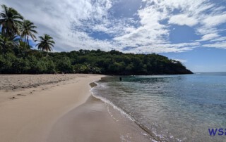 PXL 20251215 165635581