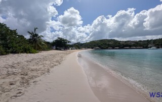 PXL 20251216 160915271