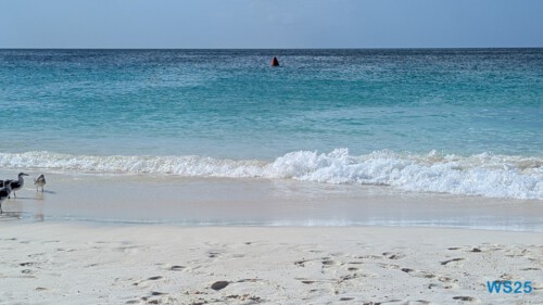 Eagle Beach Oranjestad 25.12.06 Baden und Schnorcheln im kristallklaren Meer AIDAperla 011