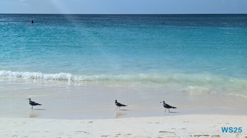 Eagle Beach Oranjestad 25.12.06 Baden und Schnorcheln im kristallklaren Meer AIDAperla 013