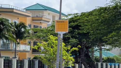 Oranjestad 25.12.06 Baden und Schnorcheln im kristallklaren Meer AIDAperla 019