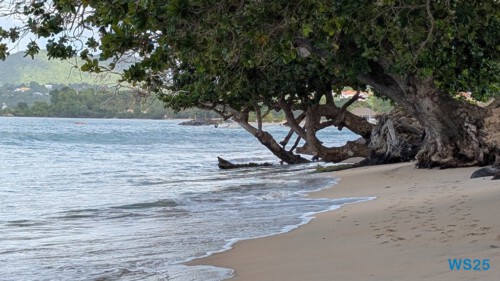 Vigie Beach Castries 25.12.13 Baden und Schnorcheln im kristallklaren Meer AIDAperla 011