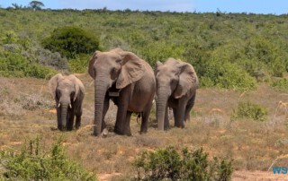 PXL 20260206 101345888