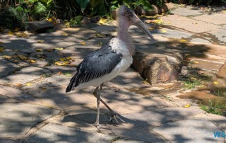 PXL 20260210 091900628