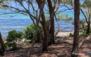 PXL 20260216 092935028