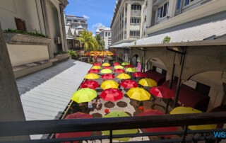 PXL 20260217 093607494