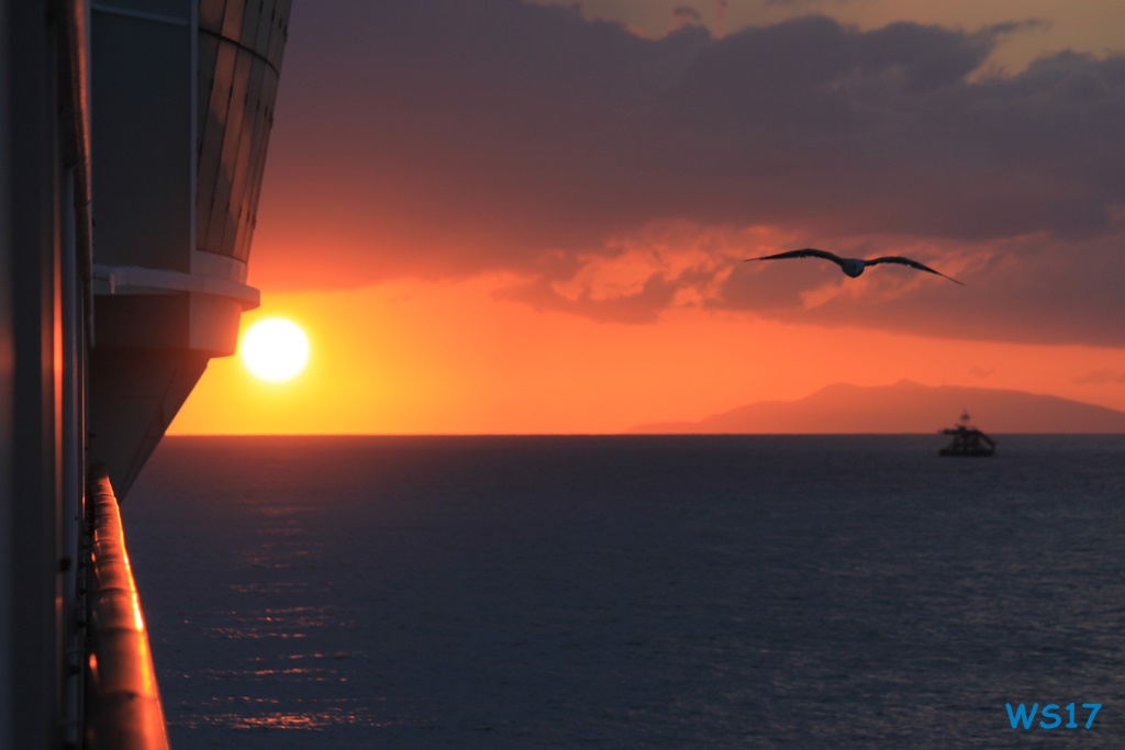 Civitavecchia 17.07.25 – Italien, Spanien und tolle Mittelmeerinseln AIDAstella 031 Civitavecchia 17.07.25 - Italien, Spanien und tolle Mittelmeerinseln AIDAstella