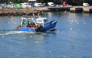 Le Havre 15.08.21 - Norwegen Fjorde England Frankreich Spanien Portugal Marokko Kanaren AIDAsol Nordeuropa Westeuropa