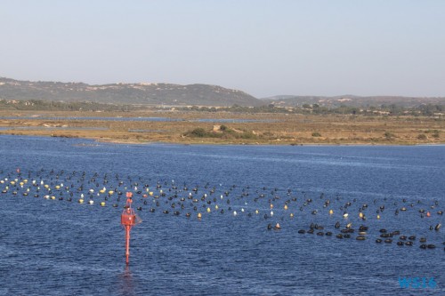Olbia Sardinien 16.07.28 – Die kleinen Perlen des Mittelmeers AIDAstella Olbia Sardinien 16.07.28 - Die kleinen Perlen des Mittelmeers AIDAstella