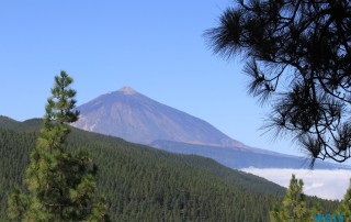 Parque National del Teide Santa Cruz de Tenerife Teneriffa 15.08.29 - Norwegen Fjorde England Frankreich Spanien Portugal Marokko Kanaren AIDAsol Nordeuropa Westeuropa