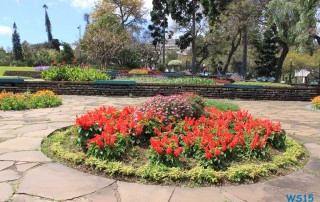 Parque de Santa Catarina Funchal Madeira 13.03.23 - Kanaren Madeira Spanien Portugal Frankreich AIDAbella Westeuropa