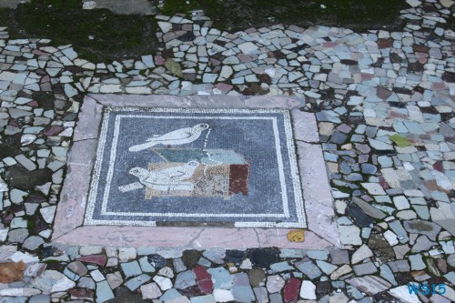 Pompeji Neapel 12.10.30 – Tunesien Sizilien Italien AIDAmar Mittelmeer 161 Pompeji Neapel 12.10.30 - Tunesien Sizilien Italien AIDAmar Mittelmeer