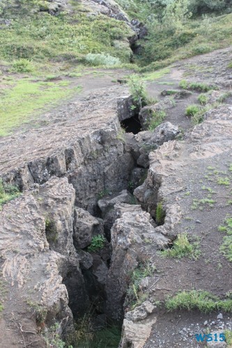 Thingvellir Reykjavik 12.08.27 – Norwegen Island Schottland AIDAmar Nordeuropa 270 Thingvellir Reykjavik 12.08.27 - Norwegen Island Schottland AIDAmar Nordeuropa